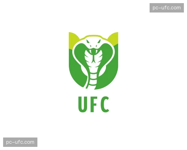 介绍ufc